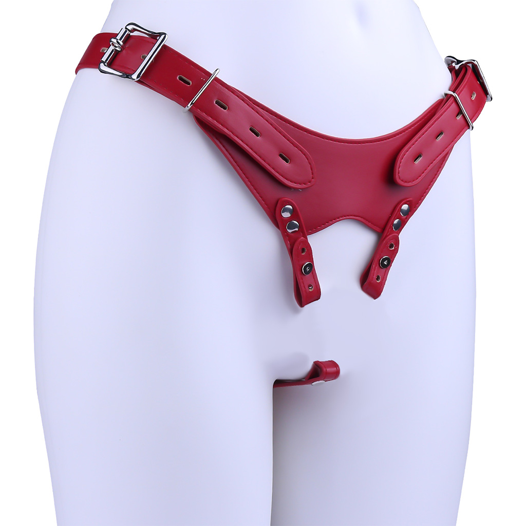 Cinturón de castidad auxiliar  - Men'S Vegan Accessories reseña y precio