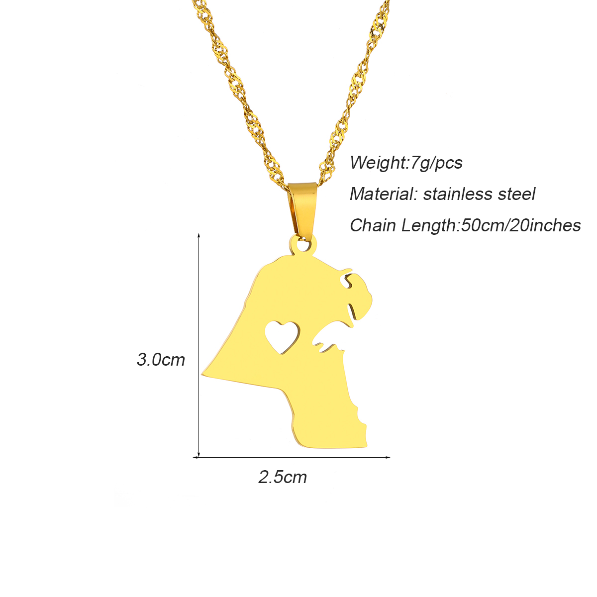 Collar con Colgante de la Band - Men Accessories Kuwait reseña y precio