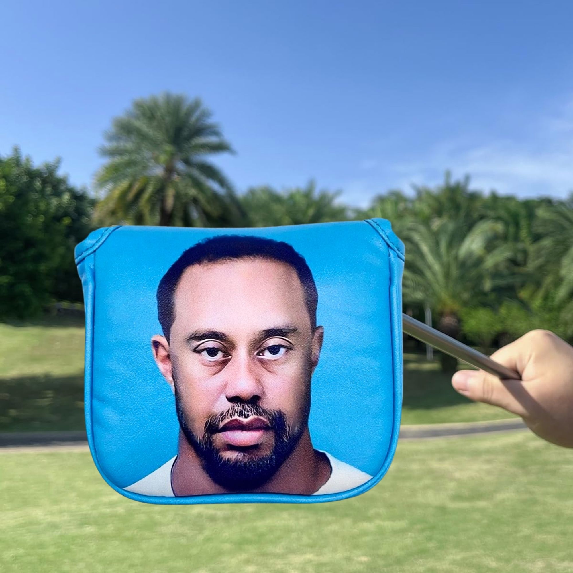 Divertido mazo de golf Putter  - Men Accessories Gift reseña y precio